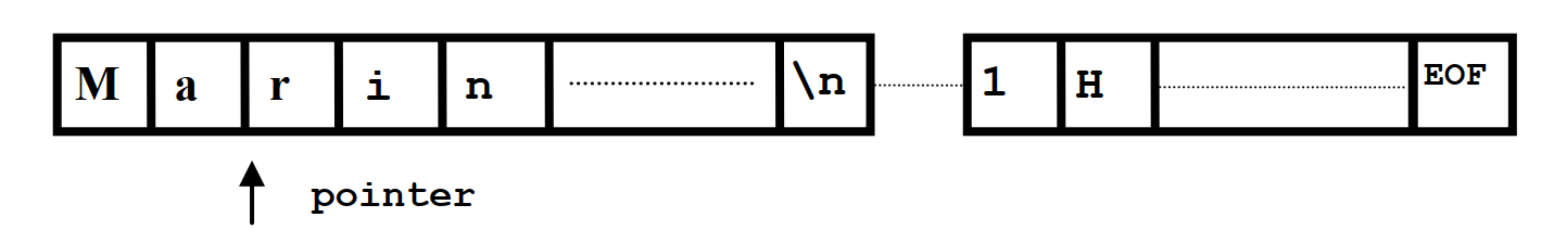 pointer-fisier